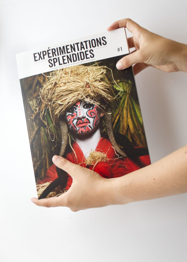 Revue - Expérimentations splendides #1