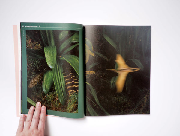 Revue - Expérimentations splendides #2 – Image 3