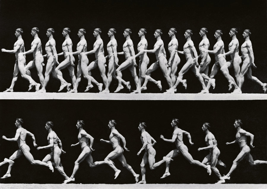 Etude de la marche, Etienne Jules Marey
© Jacques Boyer / Roger-Viollet