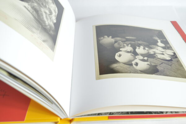 Blanc & Demilly : le nouveau monde – Image 2
